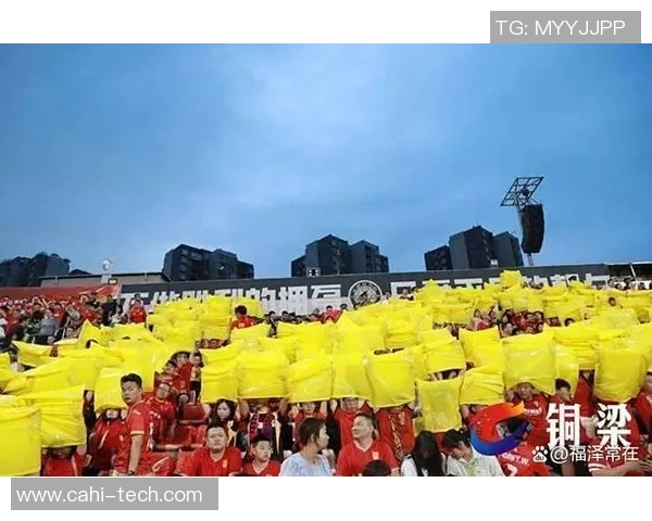 全球足球巨星人气风云榜揭晓球迷热情点燃绿茵赛场激情